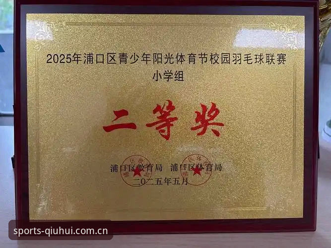 球会体育平台深度评测：移动体育直播新格局下的A3B7版本全面体验